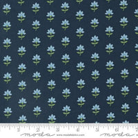 Shoreline Navy