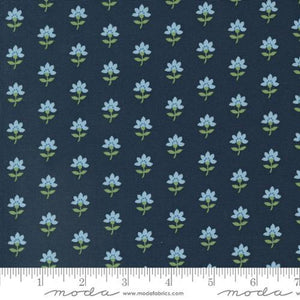 Shoreline Navy
