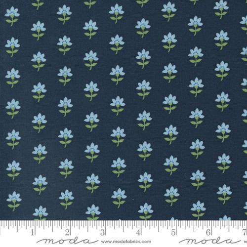 Shoreline Navy