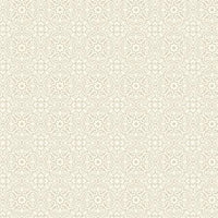 Transparency Watercolors - Damask Meringue