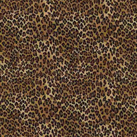 Wild Camo-Leopard