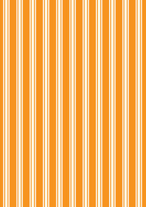Witchy Woods Terrifying Ticking Stripe On Halloween Orange (glow in the dark)