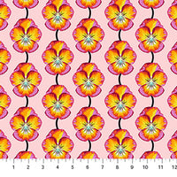 Iconic Flame Pansy - Anna Maria