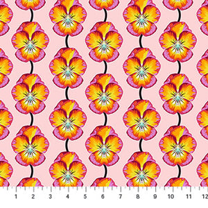 Iconic Flame Pansy - Anna Maria