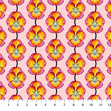 Iconic Flame Pansy - Anna Maria