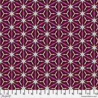 Kaleidoscope Amaryllis - Claret