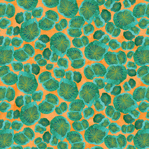 Modern Mushroom Pod Mushroom Teal/Orange