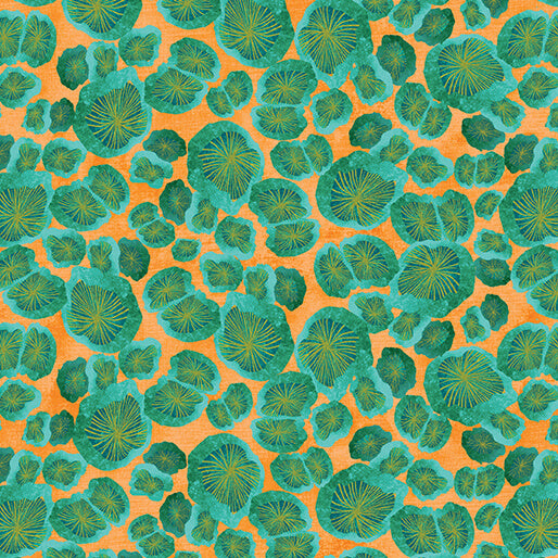 Modern Mushroom Pod Mushroom Teal/Orange