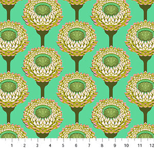Iconic Aqua Strawflower - Anna Maria