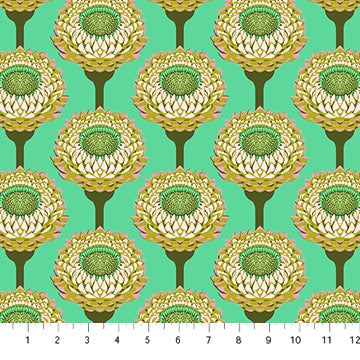 Iconic Aqua Strawflower - Anna Maria