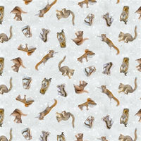 The Secret Life of SquirrelsII - Digital Squirrels