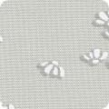 Alabaster Dove