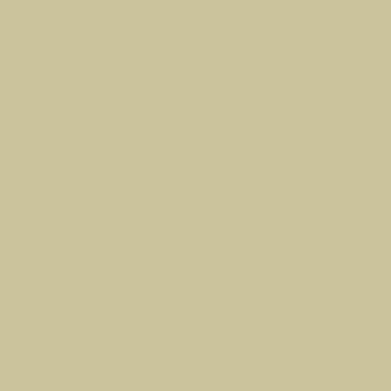 Andover Century Solid - Oyster
