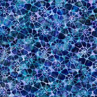 Aquatica-Nautilus-Blue
