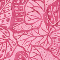 Bali Sweet Rose II Monstera - Berry