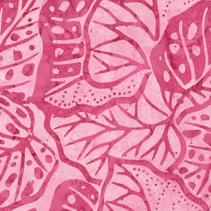 Bali Sweet Rose II Monstera - Berry