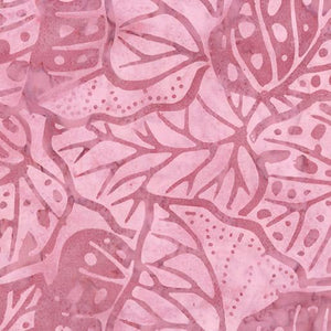 Bali Sweet Rose II Monstera - Mauve