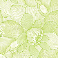 Begins With Mum Poppies  Lime