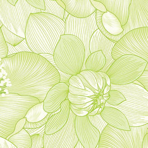 Begins With Mum Poppies  Lime