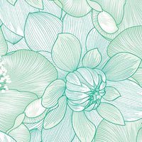 Begins With Mum Poppies  Mint