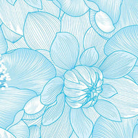 Begins With Mum Poppies  Water