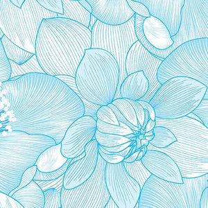Begins With Mum Poppies  Water
