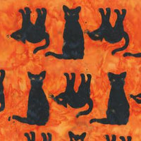 Trick or Treat-Black Cats Orange