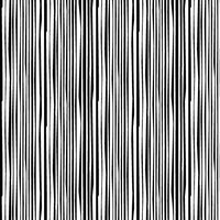 Black White & Bright-Electric  Stripe Black