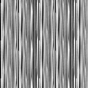 Black White & Bright-Electric  Stripe Black