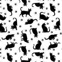 Paradox-Cats