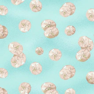 Sand Dollars By The Sea Shore