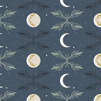 Camp Creek-Harvest Moon-Night
