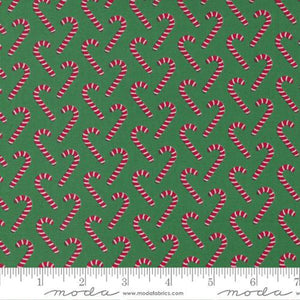 Candy Cane Lane - Evergreen