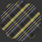 Charlotte Better in Plaid  by Bari J for AGF