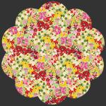 Charlotte Blooming Hills by Bari J for AGF