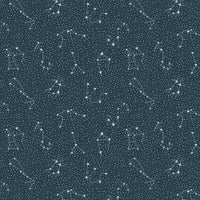 Cosmic Sea- Dark Sky - Dark Sky