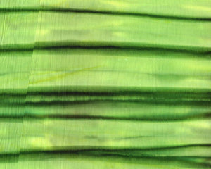 Colorama II Bali Batiks