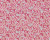 Plum Garden-Windflower Red
