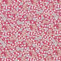 Plum Garden-Windflower Red
