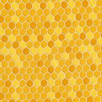 Love Of Bees-Honeycomb
