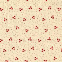 Star Stripe Gatherings