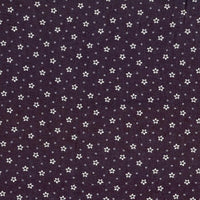 Star Stripe Gatherings