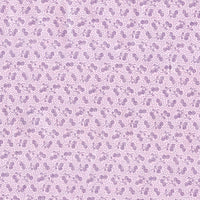 Plum Garden-BerryJam Plum