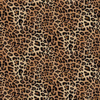 Skin Deep-Leopard