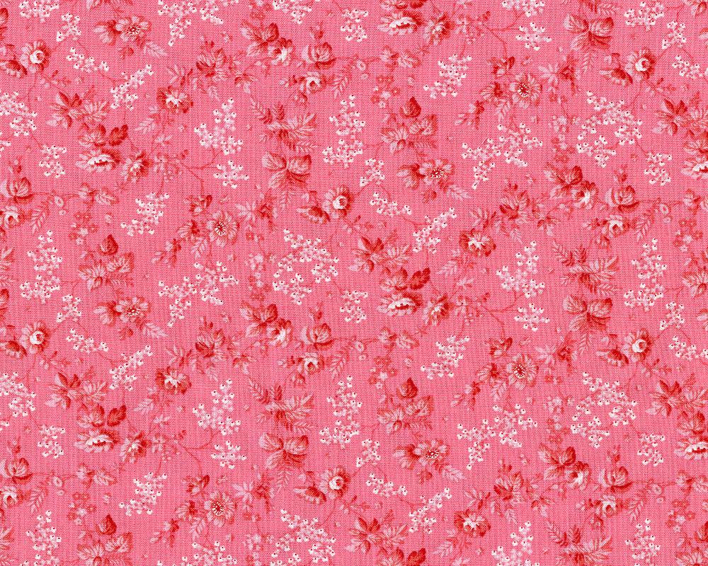 Rhapsody in Reds 0