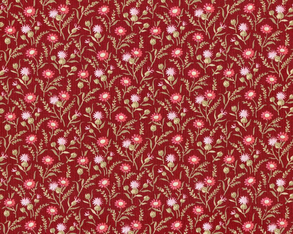 Rhapsody in Reds 0