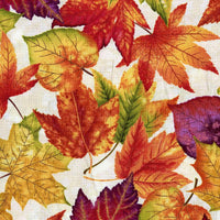 Autumn Album - Leaves