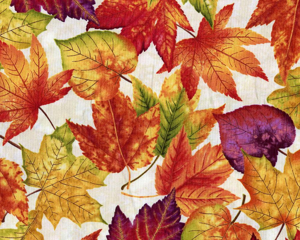Autumn Album - Leaves