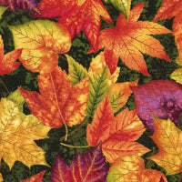 Autumn Album - Leaves