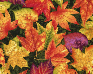 Autumn Album - Leaves